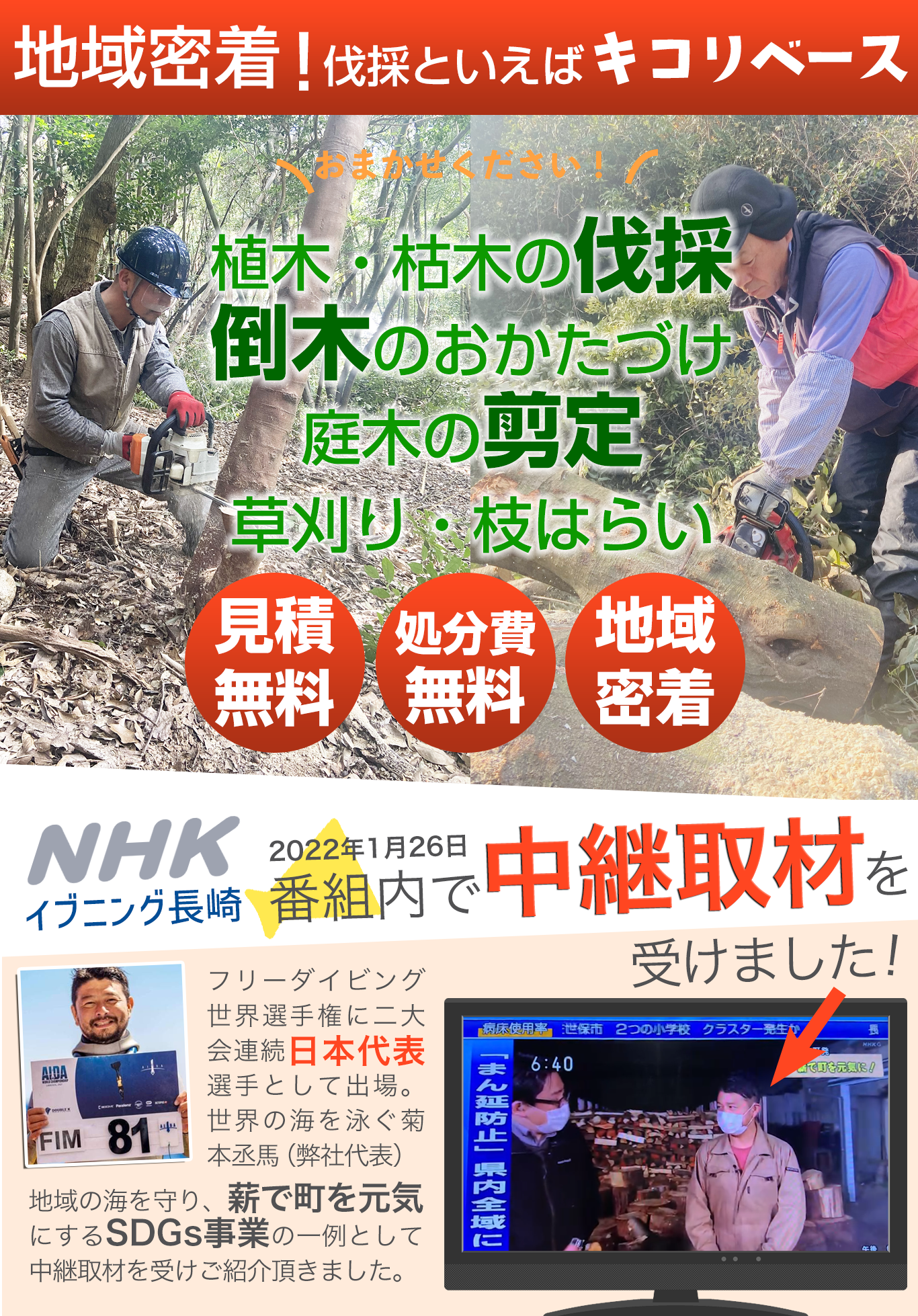 草刈、木の伐採 (お仕事受けます)